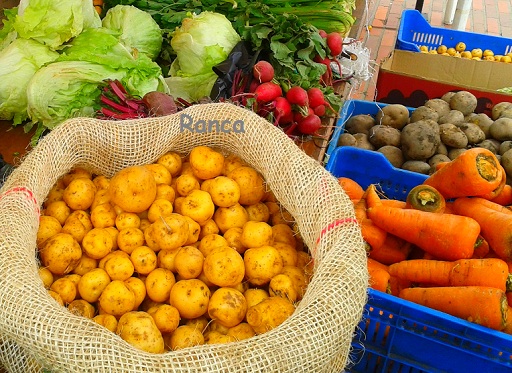 080420Alimentos130216