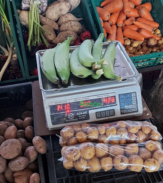 Mejoran algunos índices en costos de la canasta familiar en Cúcuta 070122alimentos 113322