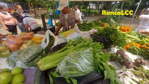 150423 094836 Alimentos
